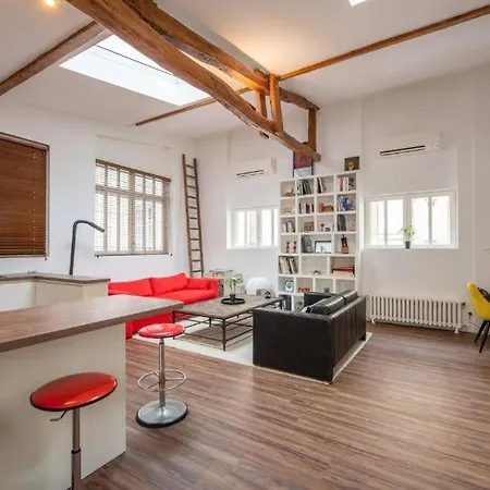 Magnifique Loft Avec Exterieur Paříž