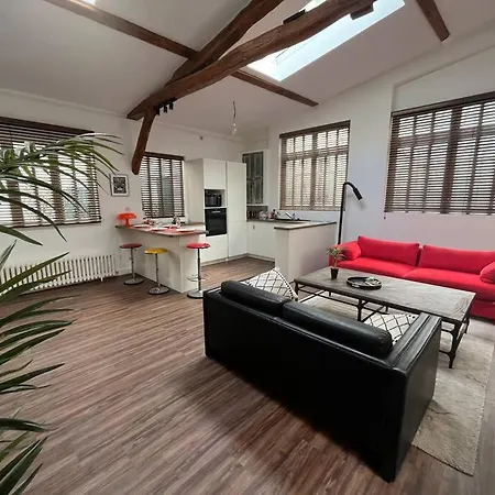 Magnifique Loft Avec Exterieur * Paříž
